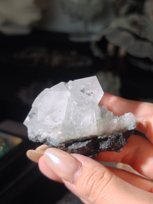 Diamond Apophyllite on Blue Green Stilbite