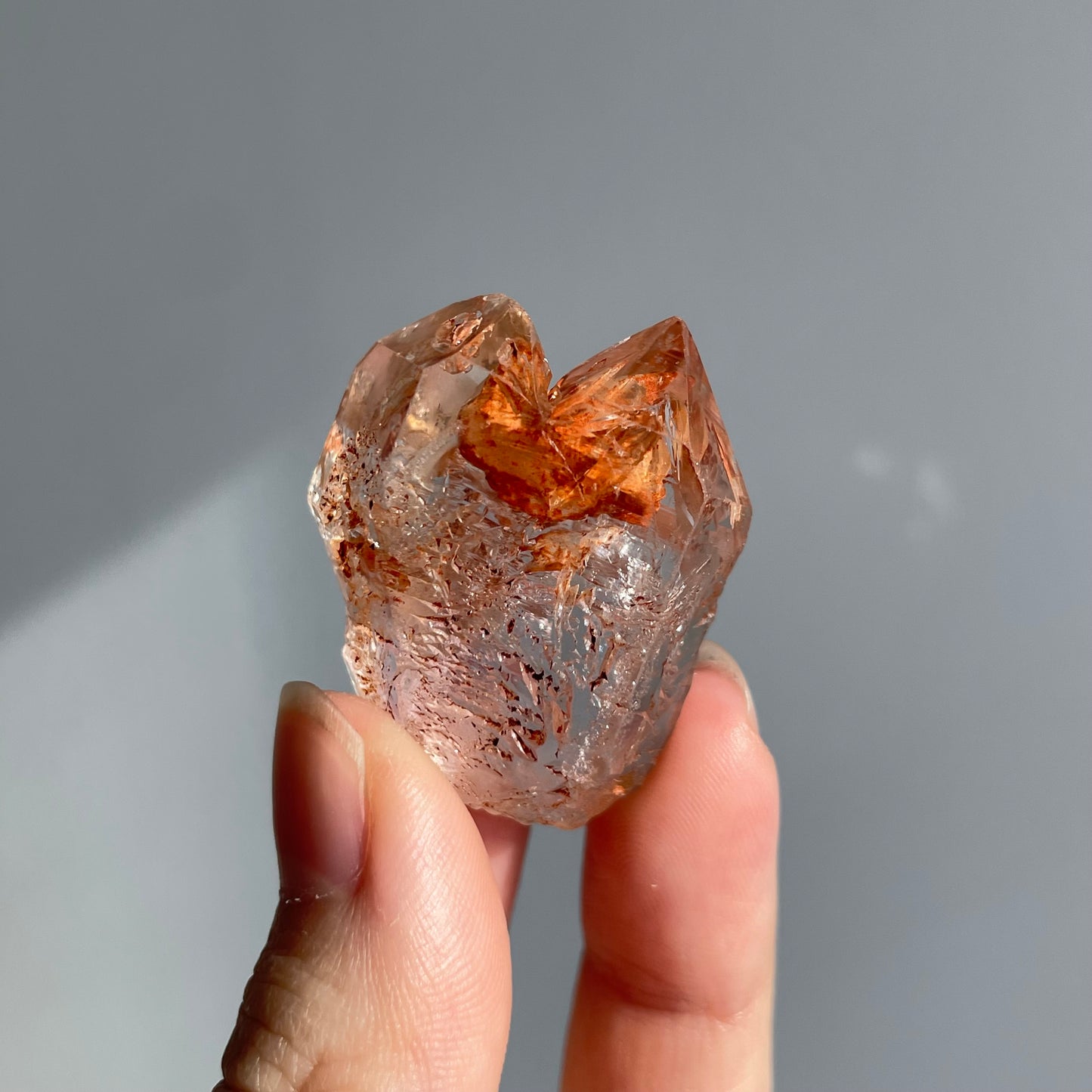 Madagascar Red Mud Petroleum Skeleton Quartz