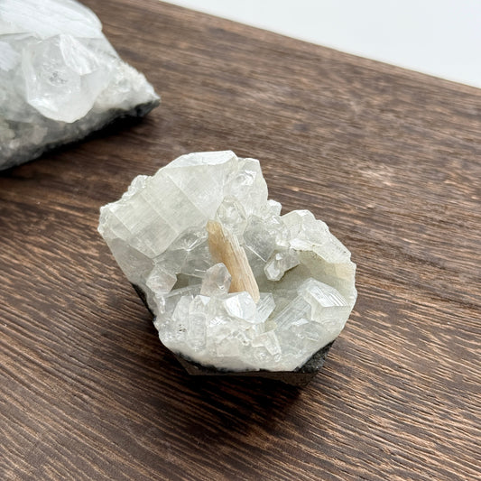 Apophyllite on Stilbite 鑽石魚眼石