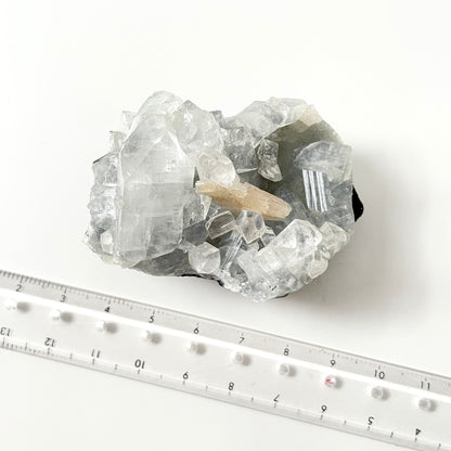 Apophyllite on Stilbite 鑽石魚眼石