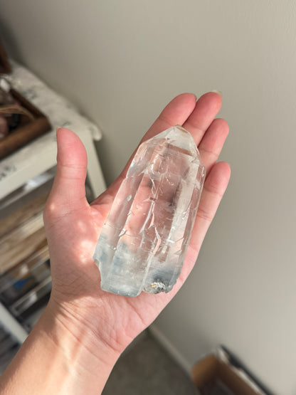 Blue Tara From Itacambira Brazil