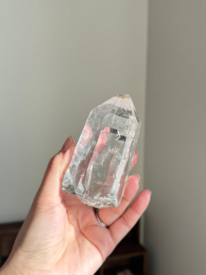 Blue Tara From Itacambira Brazil