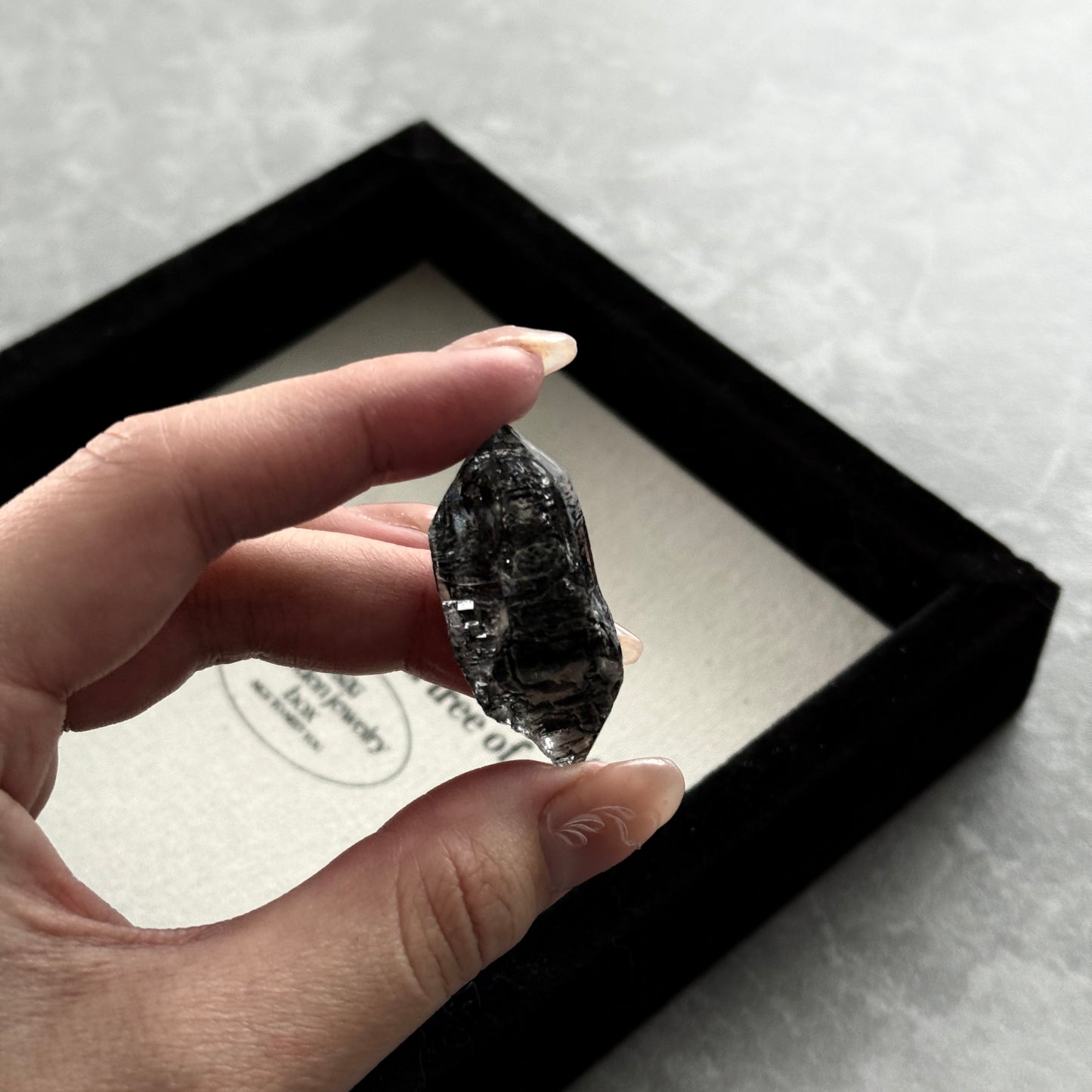 Herkimer Diamond with Black Hydrocarbon and Phantom 9.9g