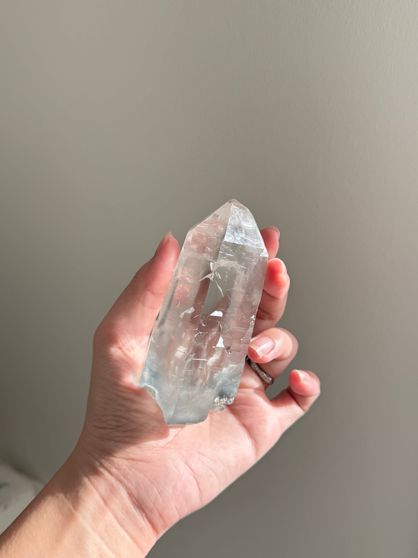 Blue Tara From Itacambira Brazil