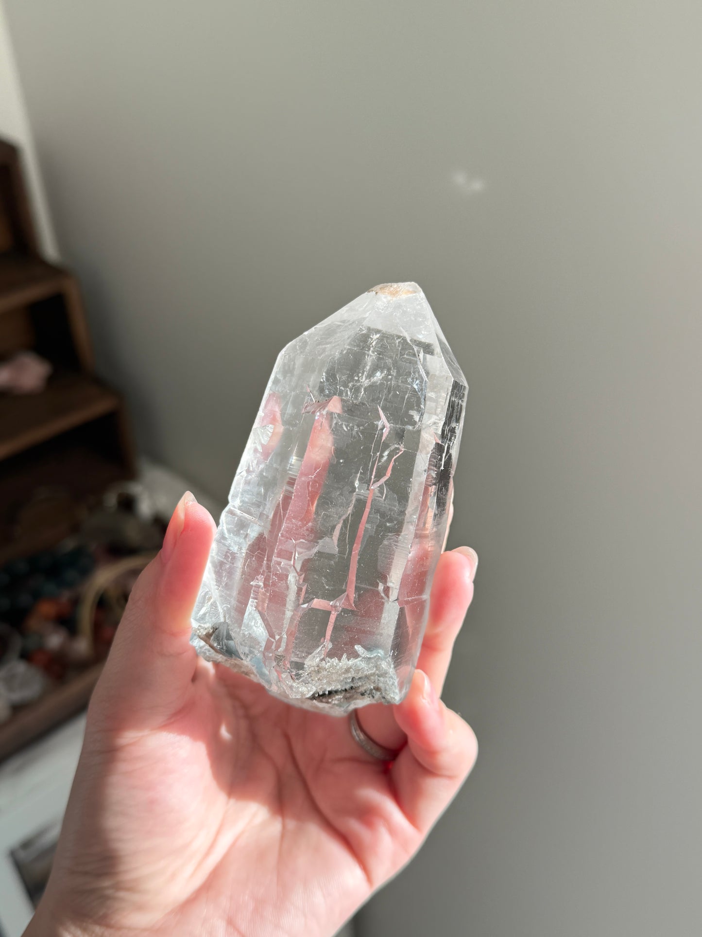 Blue Tara From Itacambira Brazil