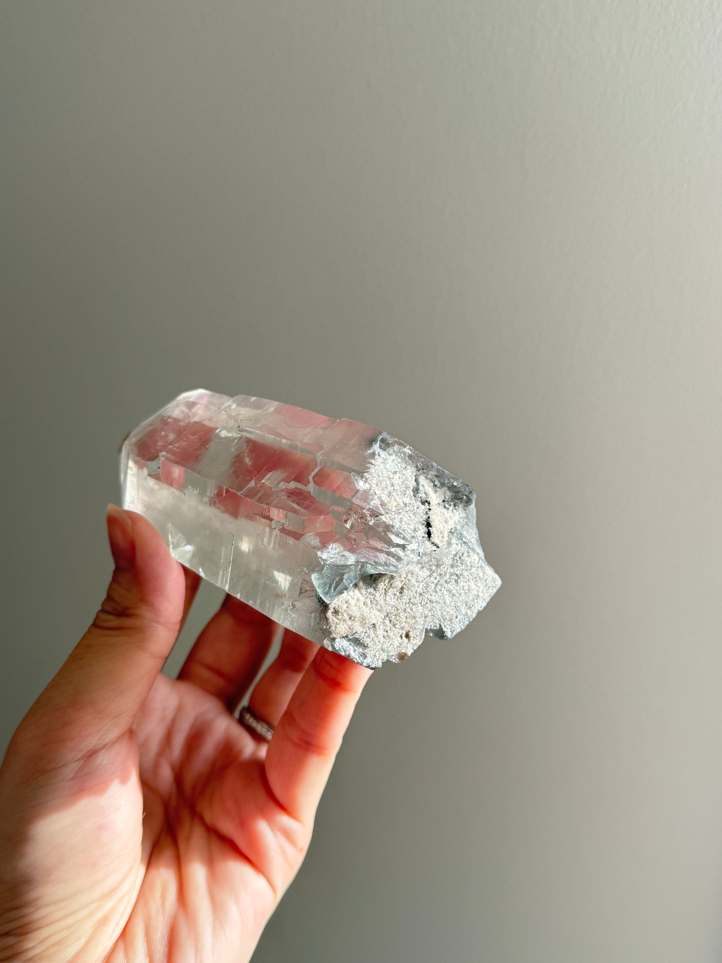 Blue Tara From Itacambira Brazil