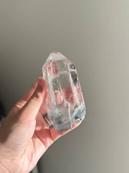 Blue Tara From Itacambira Brazil