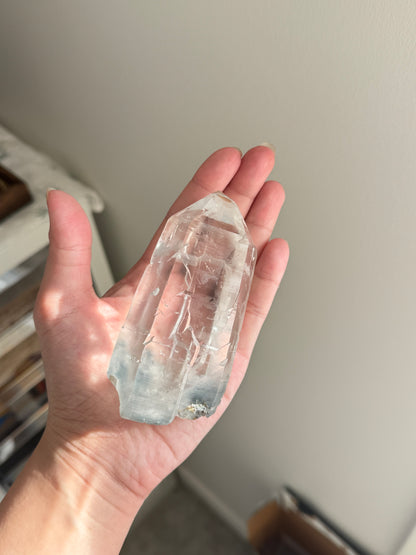 Blue Tara From Itacambira Brazil