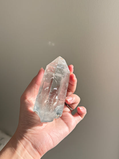 Blue Tara From Itacambira Brazil