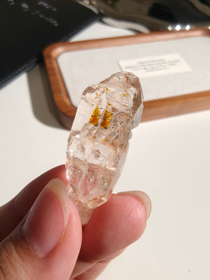 Golden Scepter Red Clay Filled Firefly Skeletal Petroleum Included Quartz UV Reactive with ENHYDROS 紅泥骸骨