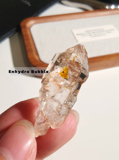 Golden Scepter Red Clay Filled Firefly Skeletal Petroleum Included Quartz UV Reactive with ENHYDROS 紅泥骸骨