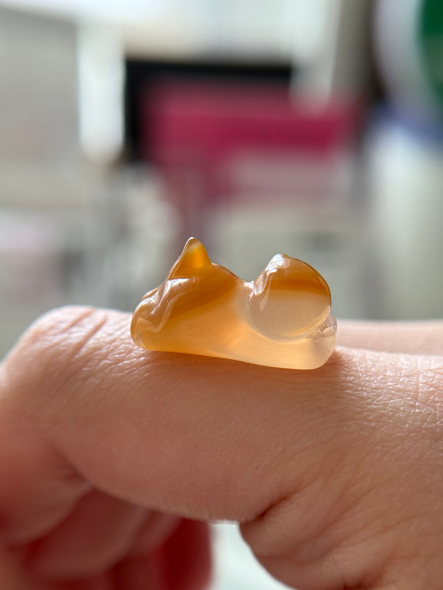 Orange Lucky Cat Agate 瑪瑙趴趴貓