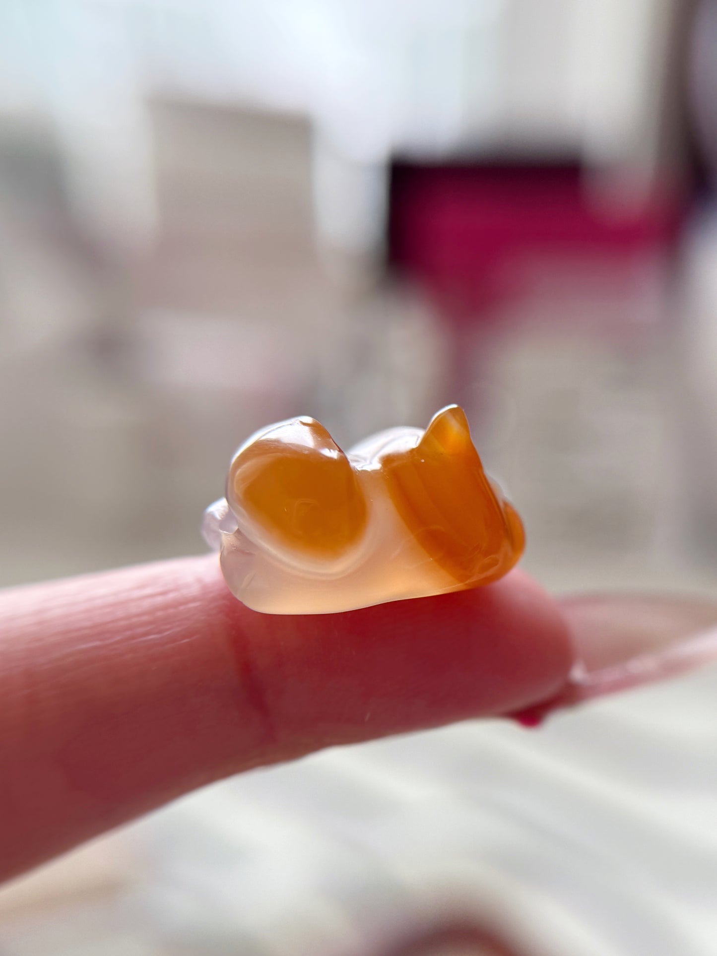 Orange Lucky Cat Agate 瑪瑙趴趴貓